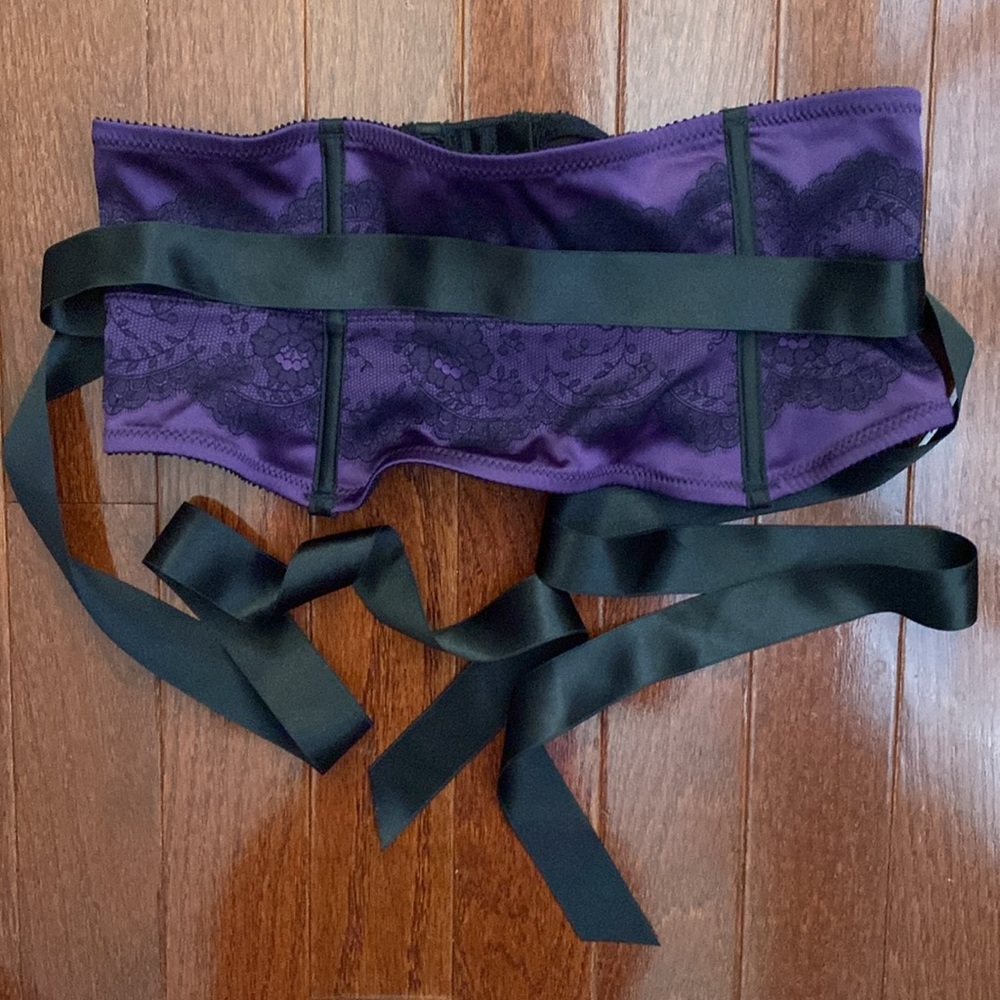 Chantelle Paris Waist Cincher/Garter Belt - Picture 9 of 12
